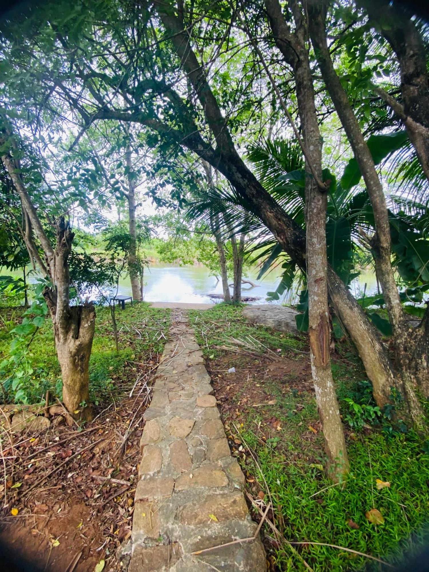 River Paradise Safari House With Cooking Class Удавалаве Экстерьер фото