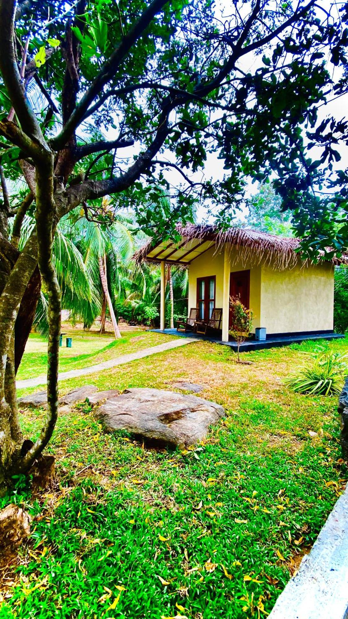 River Paradise Safari House With Cooking Class Удавалаве Экстерьер фото
